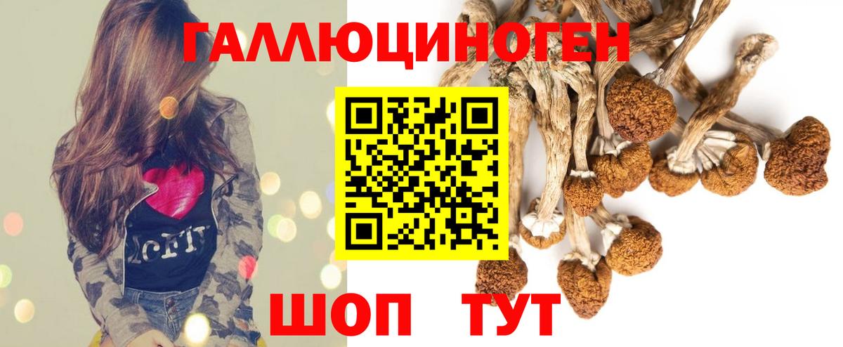Галлюциногенные грибы Magic Shrooms Черняховск